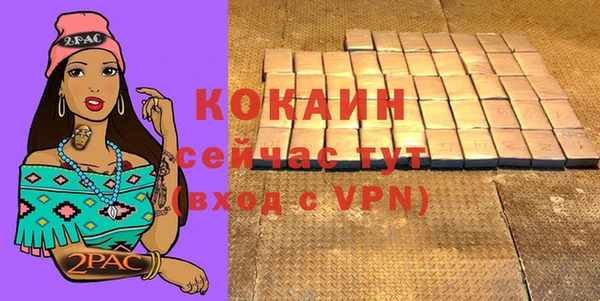 гашик Балахна
