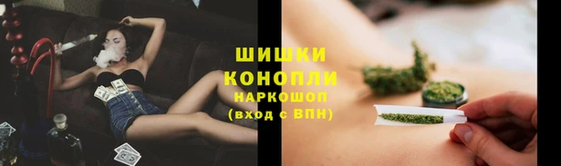 гашик Балахна